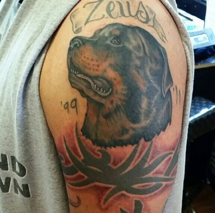rottweiler tattoo