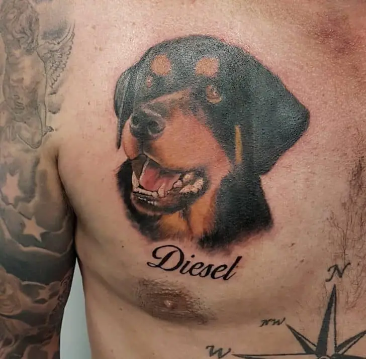 Rottweiler tattoo, tattoo