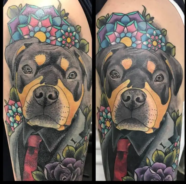 Rottweiler tattoo, tattoo