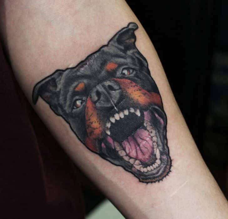 rottweiler tattoo