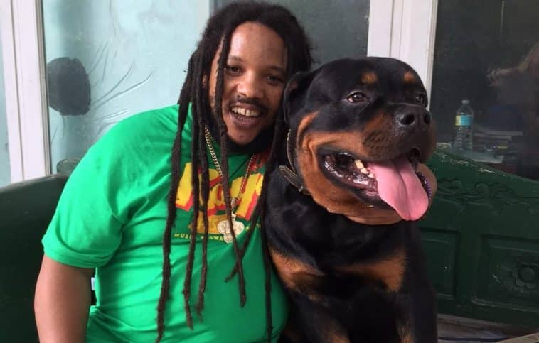 10 Celebrities Own Rottweiler Dogs 8 10 Celebrities Who Own Rottweiler Dogs