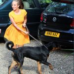 Tulisa Contostavlos rottweiler