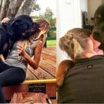 Untitled-Project (13)