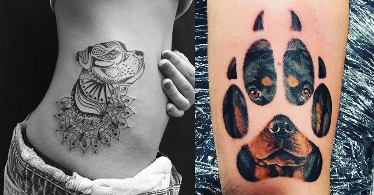 10 Cool Rottweiler Tattoos Drawn On The Bodies Of The Most Loyal Owners