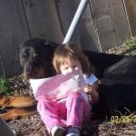 b38b0be6259b3dd4229cdf0cada6ae15