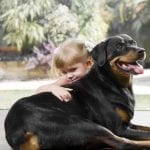 b475387feb973882defcb906535335d7