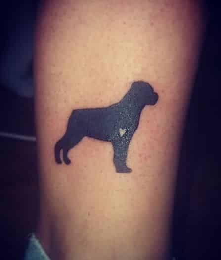10 Cool Rottweiler Tattoos Drawn On The Bodies Of The Most Loyal Owners 6 Rottweiler Tattoos