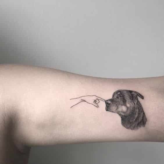 10 Cool Rottweiler Tattoos Drawn On The Bodies Of The Most Loyal Owners 5 Rottweiler Tattoos