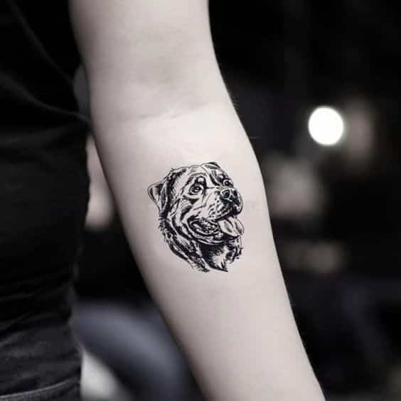 10 Cool Rottweiler Tattoos Drawn On The Bodies Of The Most Loyal Owners 3 Rottweiler Tattoos