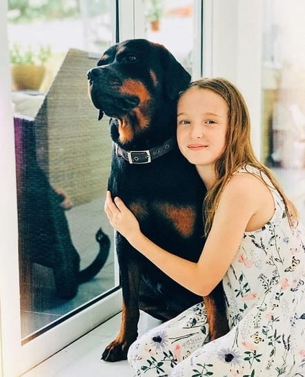 14 Pictures Prove That A Rottweiler Will Be Great As A Friend For You Baby Since Day 1 11 rottweiler guard dog