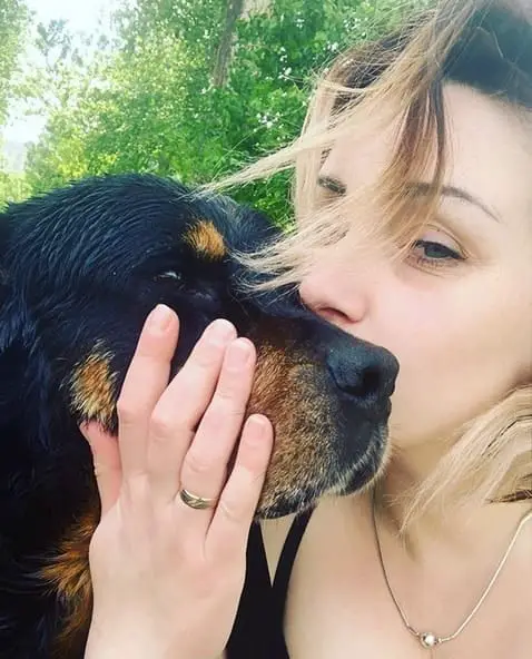 14 Pictures Showing The True Temperament of Rottweilers 4 Rottweilers
