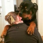 rottie-hug