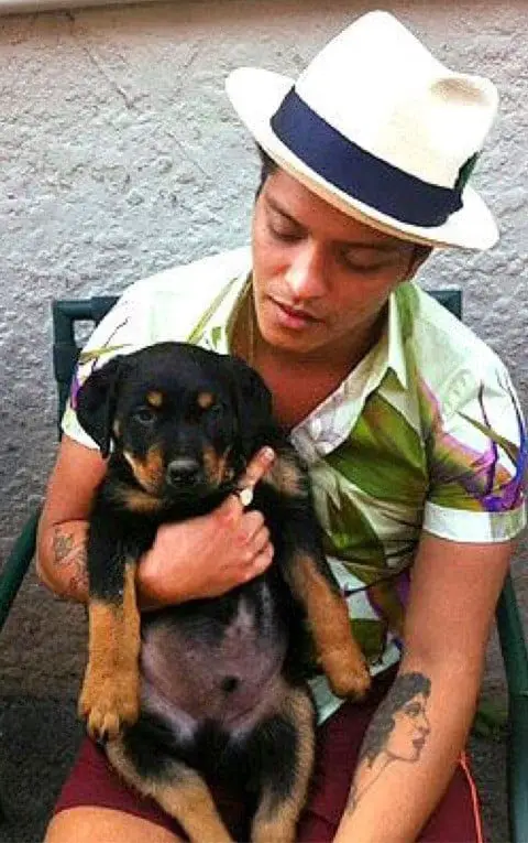 10 Celebrities Own Rottweiler Dogs 10 10 Celebrities Who Own Rottweiler Dogs