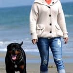 rottweiler-dog-celebrity-Hayden-Panettiere