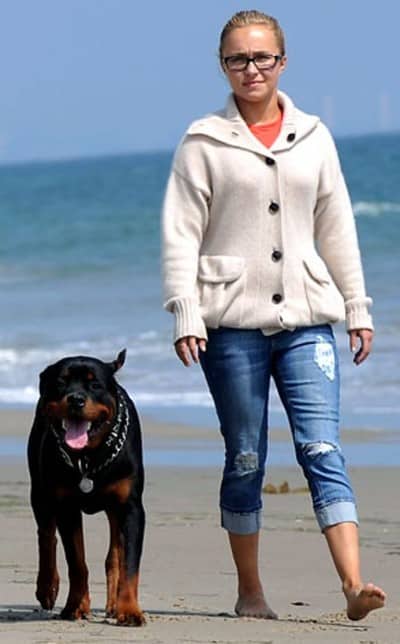 Celebrities Own Rottweiler Dogs