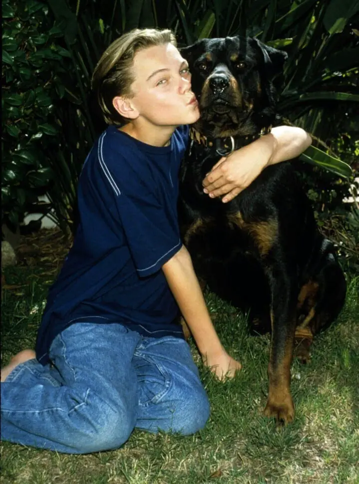 10 Celebrities Own Rottweiler Dogs 1 10 Celebrities Who Own Rottweiler Dogs