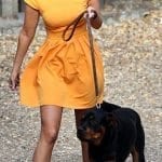 rottweiler-dog-celebrity-Tulisa-Contostavlos