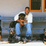 rottweiler healthy