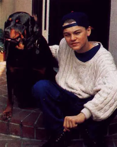 Leonardo DiCaprio is a Rottweiler owner