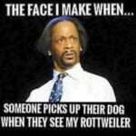 Funniest Rottweiler Memes