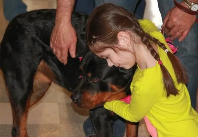 Panther Abandoned,Mother,Grows Up,Human,Rottweiler,Best Friend