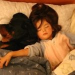 rottweiler owner