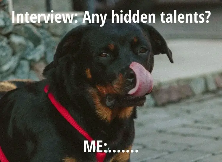 Top 8 Hilarious Rottweiler Memes From The Internet! 5 Rottweiler