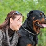 Insuring Your Rottweiler