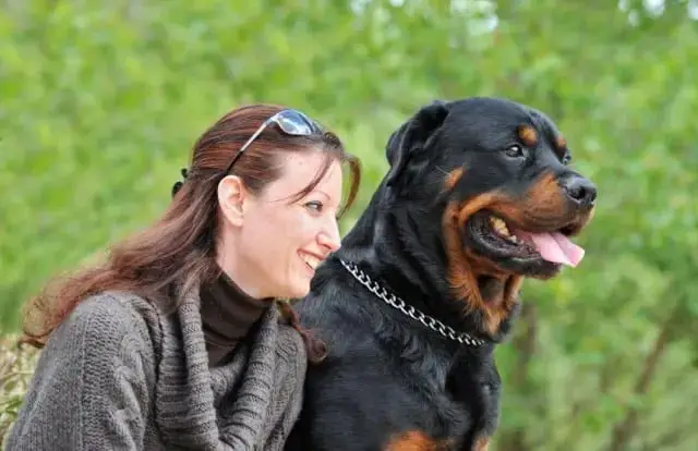 Insuring Your Rottweiler