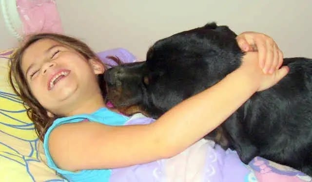 Panther Abandoned,Mother,Grows Up,Human,Rottweiler,Best Friend