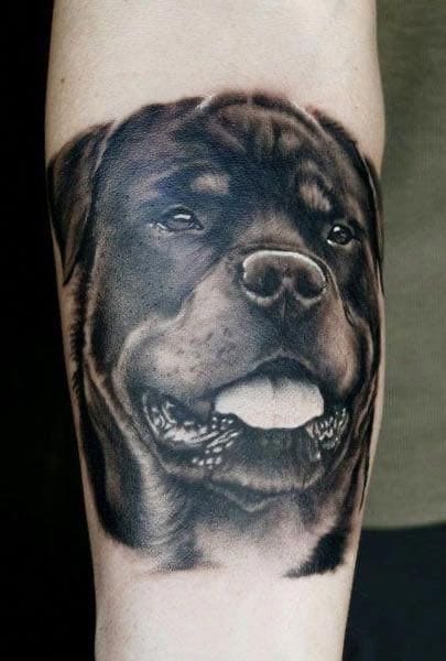 Rottweiler