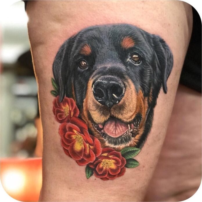 Rottweiler with a Heart Tattoo