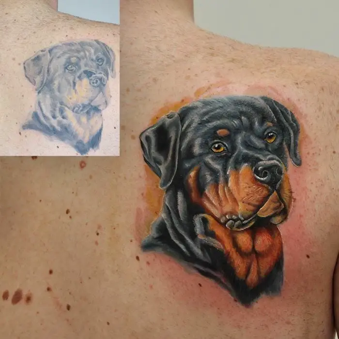 Cutest Rottweiler Tattoo