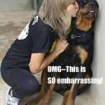 Funniest Rottweiler Memes 4