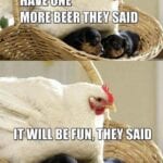 Funny Rottweiler Memes 10
