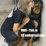 Funny Rottweiler Memes 11