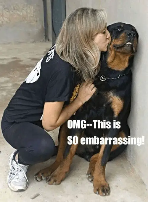 Funny Rottweiler Memes