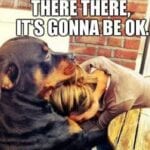 Funny Rottweiler Memes 12